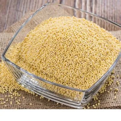 得了禽流感怎么办