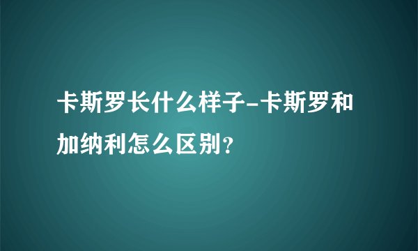 卡斯罗长什么样子-卡斯罗和加纳利怎么区别？