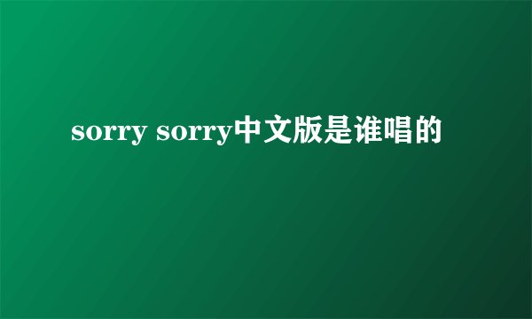 sorry sorry中文版是谁唱的