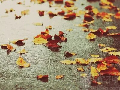 好听的游戏名字设计