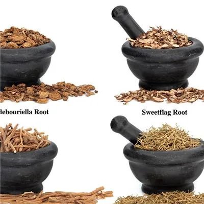 冠心病早期吃什么药