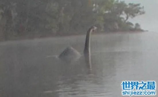 温德米尔湖水怪事件，不少人猜测只是普通的大型鱼类 