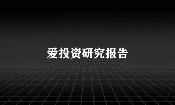 爱投资研究报告