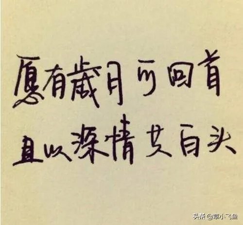 “四块五的妞”是什么意思?你怎样理解?