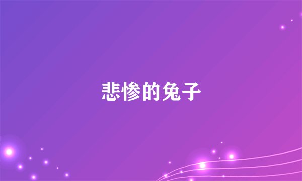 悲惨的兔子