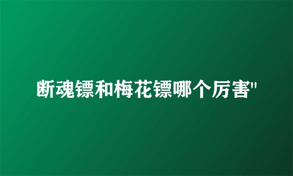 断魂镖和梅花镖哪个厉害