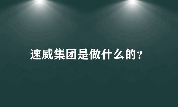 速威集团是做什么的？