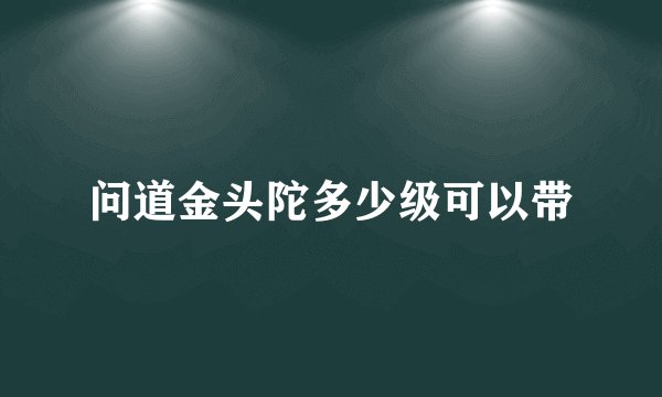 问道金头陀多少级可以带