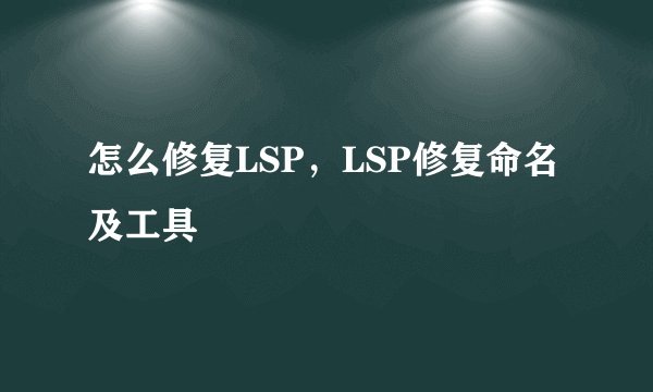 怎么修复LSP，LSP修复命名及工具