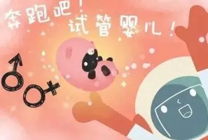 赠卵试管-捐卵和捐卵一样吗？