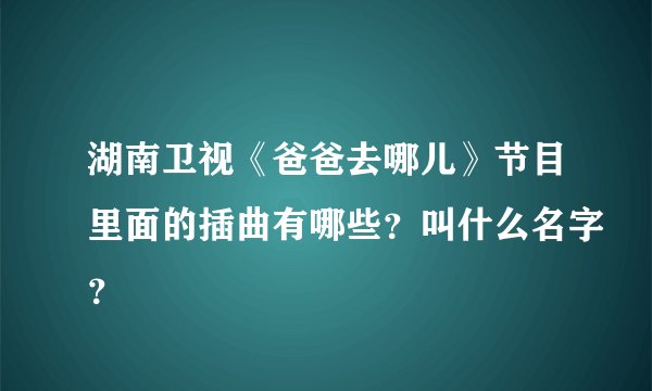 湖南卫视《爸爸去哪儿》节目里面的插曲有哪些？叫什么名字？