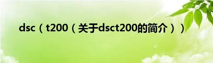 dsc（t200（关于dsct200的简介））