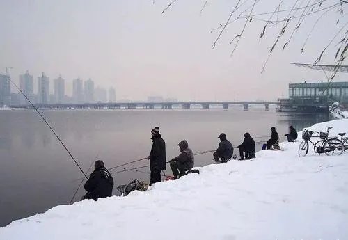 大连一男子顶着大雪钓鱼，你认为钓鱼这项娱乐有何特别之处？