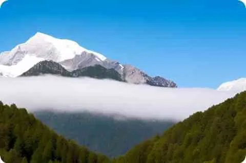 上海十大知名企业有哪些？