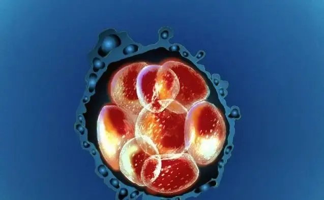 赠卵试管-捐卵和捐卵一样吗？