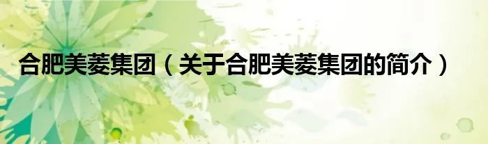 合肥美菱集团（关于合肥美菱集团的简介）