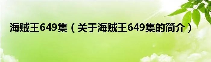海贼王649集（关于海贼王649集的简介）