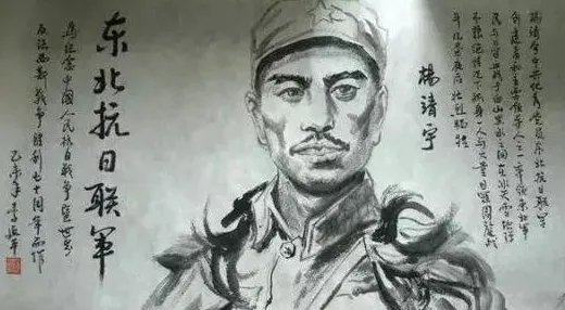 山林之王读后感200字？