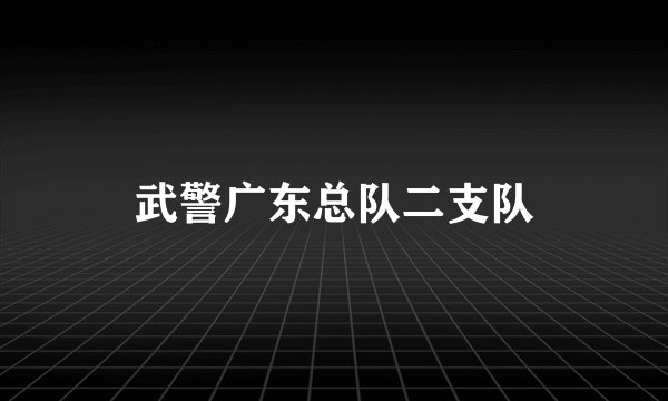 武警广东总队二支队
