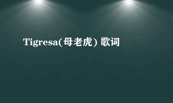 Tigresa(母老虎) 歌词