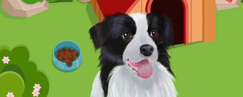 边境牧羊犬的性格如何