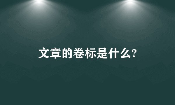 文章的卷标是什么?