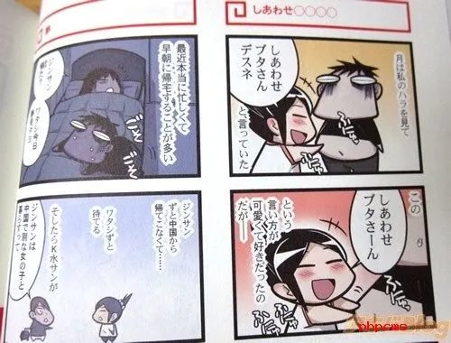 中国嫁日记的介绍