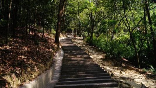 深圳凤凰山好玩吗？