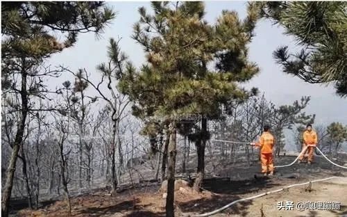 西海岸大火怎么着起来的?