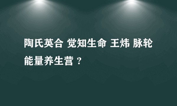 陶氏英合 觉知生命 王炜 脉轮 能量养生营 ?