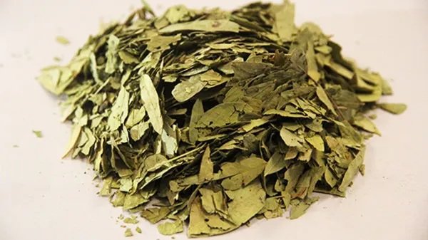 减肥药的成分是什么 减肥药所含成分有什么副作用