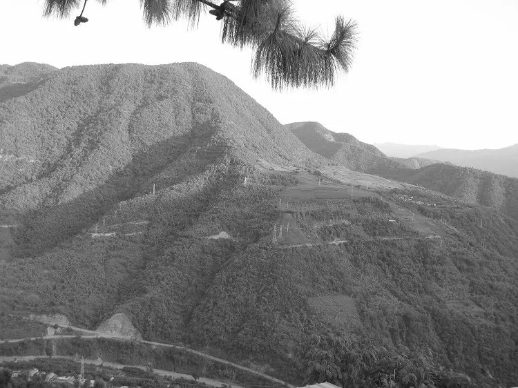 大红山铜矿储量