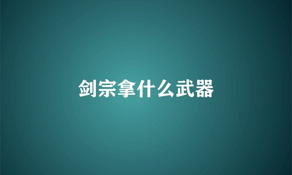 剑宗拿什么武器