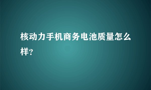 核动力手机商务电池质量怎么样？