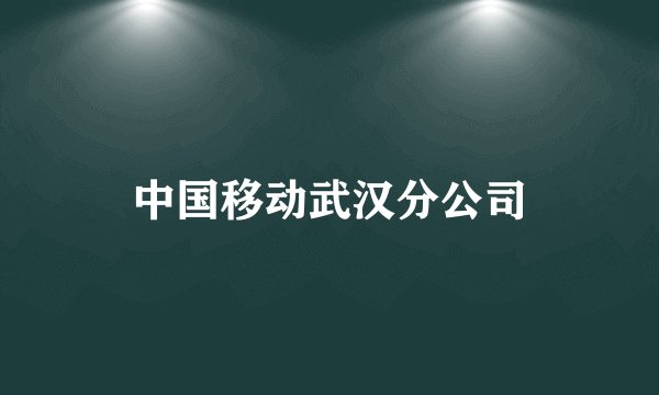 中国移动武汉分公司