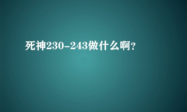 死神230-243做什么啊？