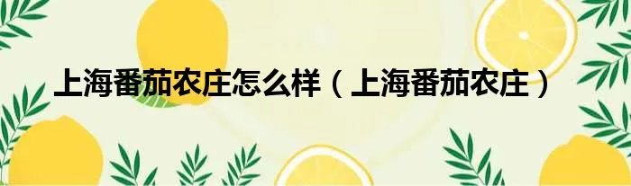 上海番茄农庄怎么样（上海番茄农庄）