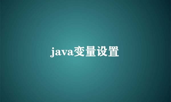 java变量设置