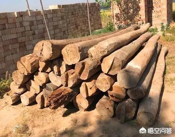 买木材能转多少钱