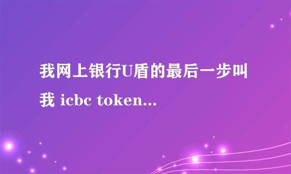我网上银行U盾的最后一步叫我 icbc token   输入PIN是什么意思要详细   我网上的看过了还是不明白什么意思