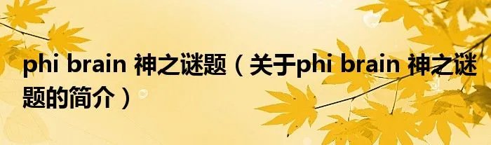 phi brain 神之谜题（关于phi brain 神之谜题的简介）