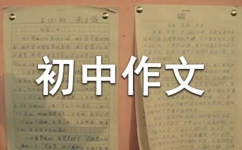 初中作文500字