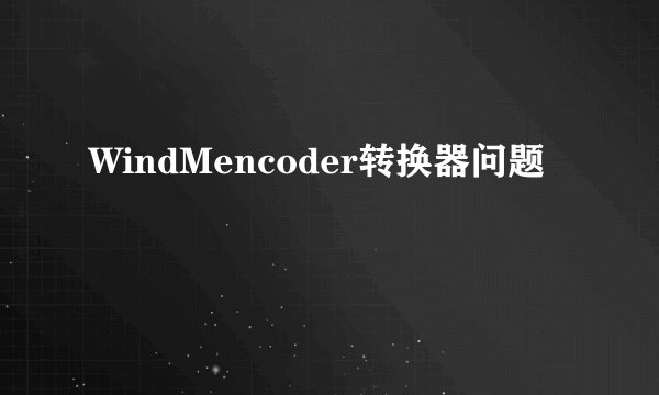 WindMencoder转换器问题