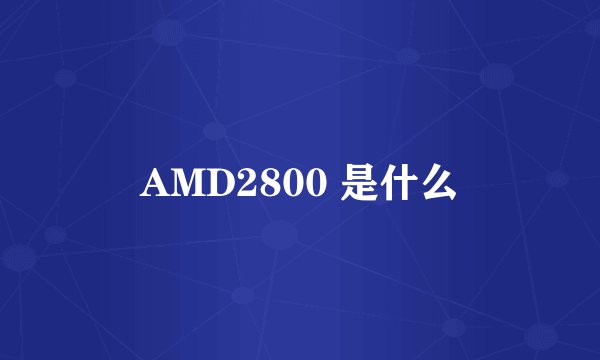 AMD2800 是什么