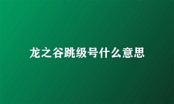 龙之谷跳级号什么意思