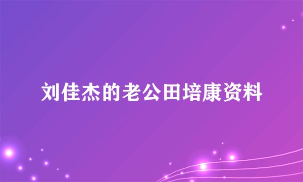 刘佳杰的老公田培康资料