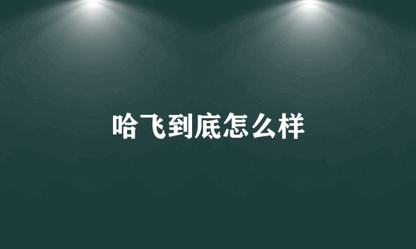 哈飞到底怎么样