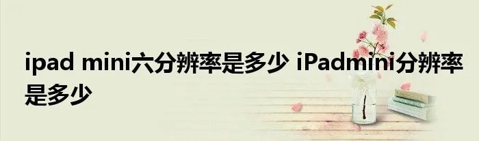ipad mini六分辨率是多少 iPadmini分辨率是多少