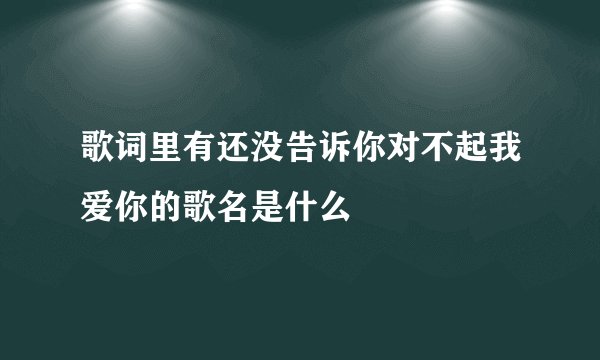 歌词里有还没告诉你对不起我爱你的歌名是什么