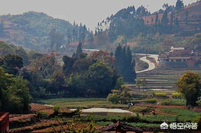 如何看待农村的留守儿童问题？